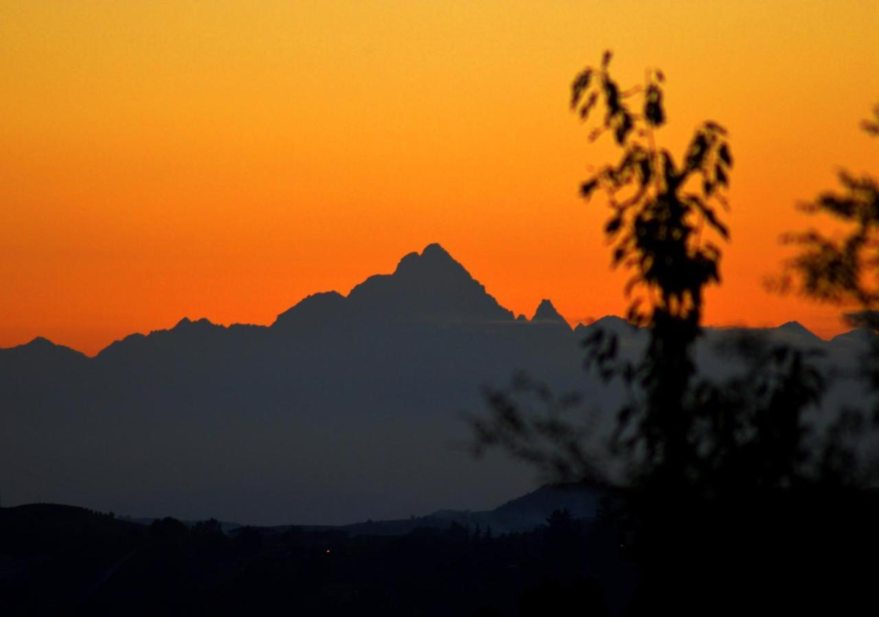 Bed & Tours Dimora Di Campagna Bed & Breakfast Castelnuovo Belbo ภายนอก รูปภาพ