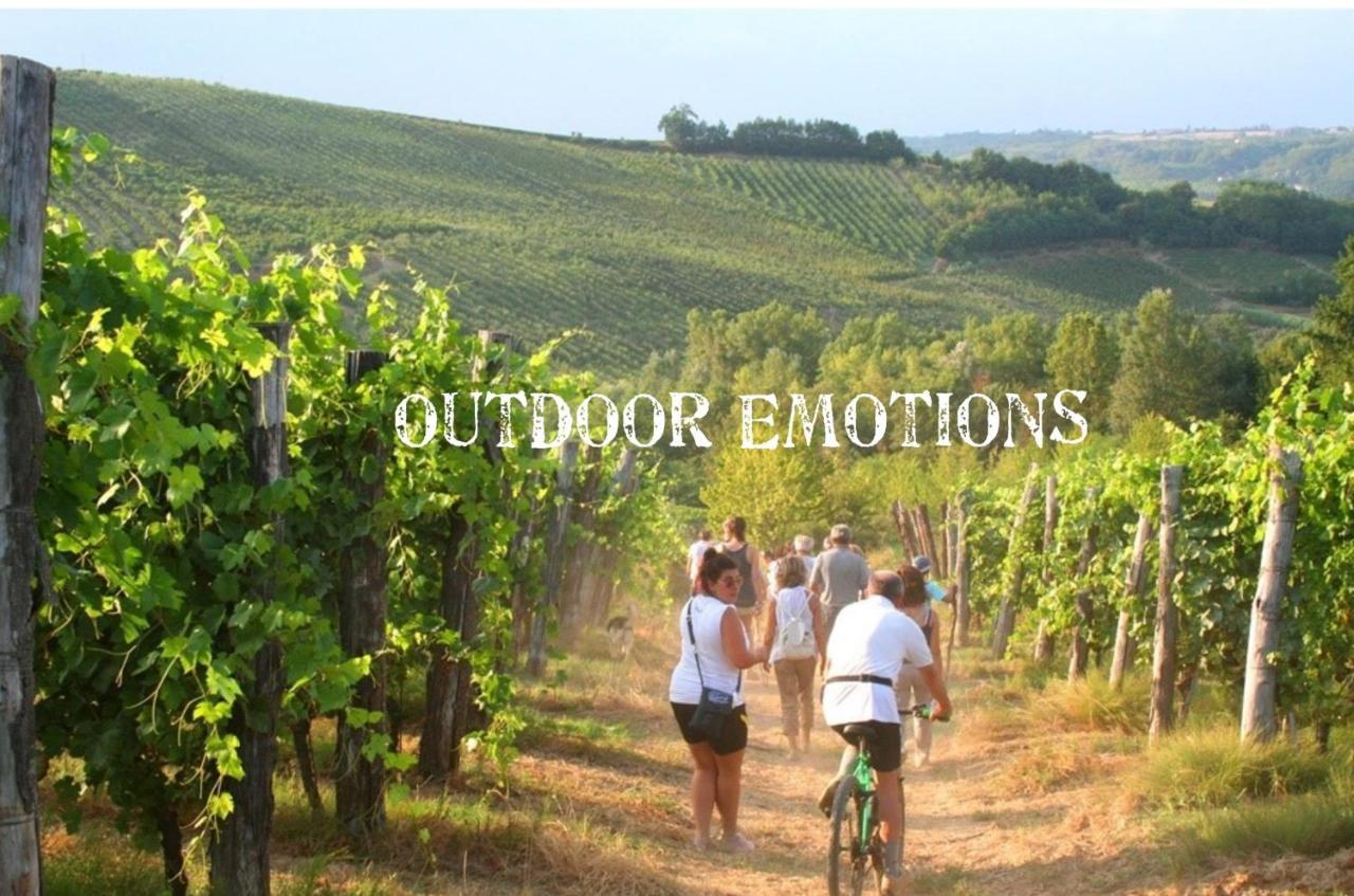 Bed & Tours Dimora Di Campagna Bed & Breakfast Castelnuovo Belbo ภายนอก รูปภาพ