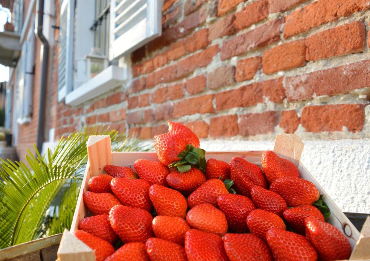 Bed & Tours Dimora Di Campagna Bed & Breakfast Castelnuovo Belbo ภายนอก รูปภาพ