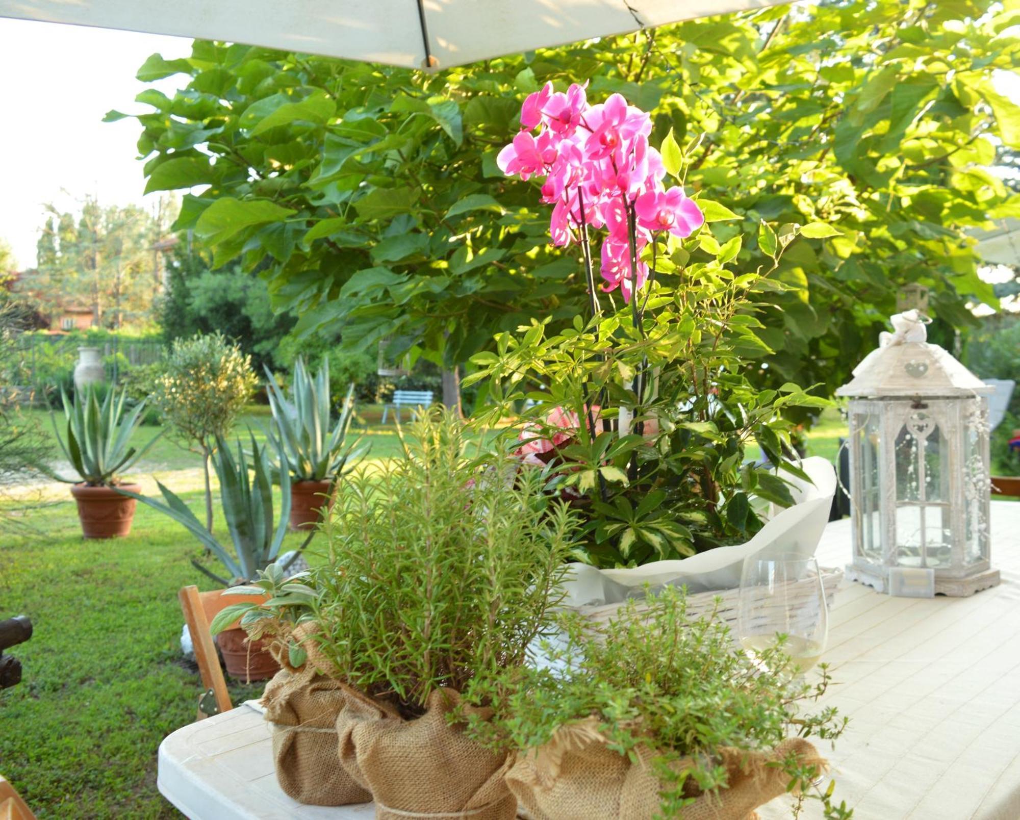 Bed & Tours Dimora Di Campagna Bed & Breakfast Castelnuovo Belbo ภายนอก รูปภาพ